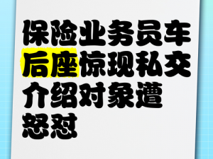 日本保险员中字2—日本保险员中字 2：深入了解保险行业的奥秘