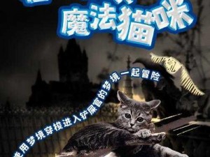 魔法猫咪的神秘技能：探索无限潜能的奇幻之旅