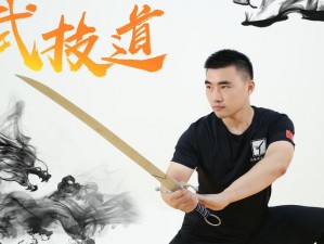 探寻太阴剑诀奥秘：武技获取之道