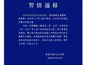 关于鹅鸭杀警长刀伤加拿大鹅事件的紧急通报：事件真相及报警反应深度解读