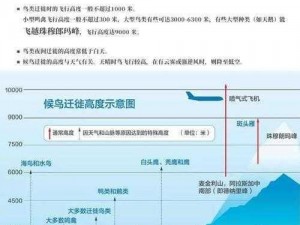 冰原黑狼鸟独特迁徙方式与生存策略：揭秘其出行之奥秘