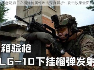 宫爆老奶奶二之榴弹枪属性攻击深度解析：攻击效果全面揭示