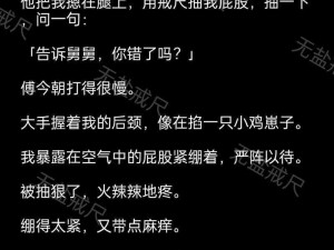 书房领罚打板子原文,书房领罚打板子：一则古代教育惩戒的故事