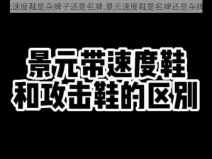 景元速度鞋是杂牌子还是名牌,景元速度鞋是名牌还是杂牌子？