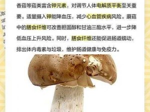 贪婪洞窟2蘑菇作用揭秘：探索游戏中的蘑菇用途与效益