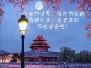 泪水与晚安的奇妙之旅：一场情感的探索游戏