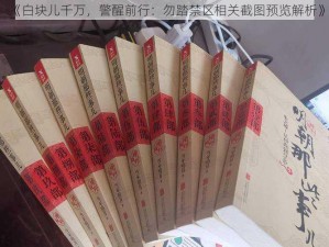 《白块儿千万，警醒前行：勿踏禁区相关截图预览解析》