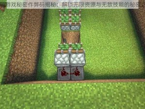 真红玛瑙游戏秘密作弊码揭秘：解锁无限资源与无敌技能的秘密之门开启