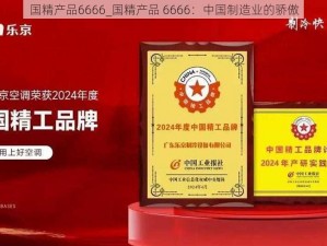 国精产品6666_国精产品 6666：中国制造业的骄傲