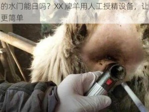 羊的水门能日吗？XX 牌羊用人工授精设备，让配种更简单