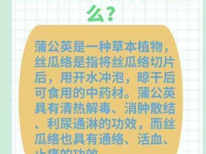 茄子 香草 草莓 丝瓜 榴莲污 如何评价茄子、香草、草莓、丝瓜和榴莲污的特点和食用价值？