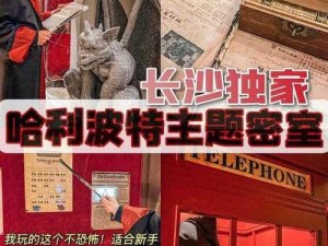 哈利波特魔法觉醒密室挑战攻略：解锁密室之门，探索神秘任务之旅