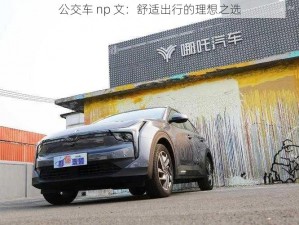 公交车 np 文：舒适出行的理想之选