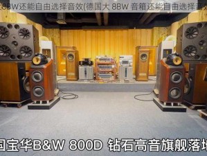 德国大8BW还能自由选择音效(德国大 8BW 音箱还能自由选择音效吗？)