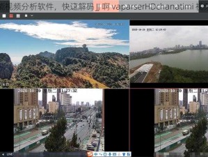 智能视频分析软件，快速解码 JJ 啊 vaparserHDchanatimi 视频流