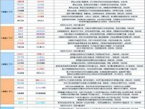 关于魔灵召唤克罗尼柯战记中符文选择的深度解析与策略探讨