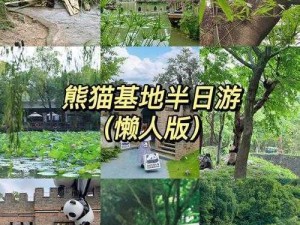 黑色沙漠手游熊猫获取攻略：全方位指南助你轻松拥有熊猫角色