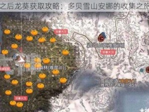 明日之后龙葵获取攻略：多贝雪山安娜的收集之旅探秘