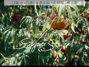 欧美 mv 日韩 mv 最火的一句解答，看这里