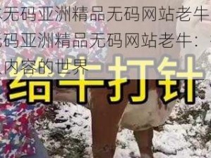 日本无码亚洲精品无码网站老牛 日本无码亚洲精品无码网站老牛：探索成人内容的世界