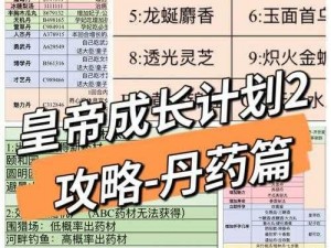 大掌门丹药获取攻略：揭秘丹药来源与获取途径