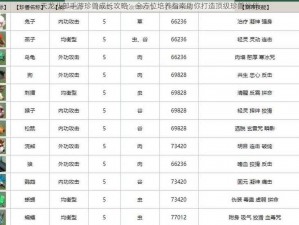 天龙八部手游珍兽成长攻略：全方位培养指南助你打造顶级珍兽伙伴