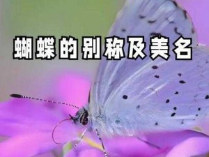 女生的蝴蝶比：罕见的自然之美，还是健康问题的信号？