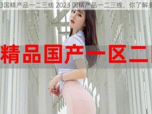 2023国精产品一二三线 2023 国精产品一二三线，你了解多少？