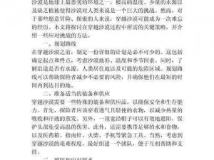 沙漠魅影攻略：战斗策略与技巧详解