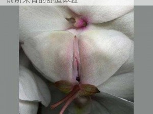 大荫蒂女人毛茸茸 30 极致亲肤，带给你前所未有的舒适体验