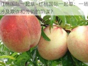 红桃国际一起草—红桃国际一起草：一场涉及欺诈和传销的阴谋？