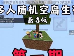 我的世界空岛生存自给自足全攻略：实战技巧与资源利用