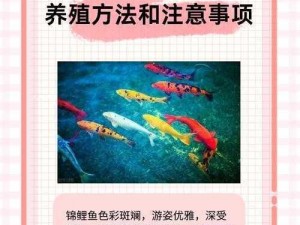 女人绝技鲤鱼喝水的咬怎么做—女人绝技鲤鱼喝水的咬是怎样的？