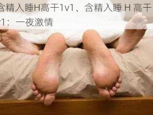 含精入睡H高干1v1、含精入睡 H 高干 1v1：一夜激情