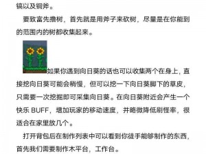 泰拉瑞亚游戏向导死亡后复活技巧详解：操作指南与实用方法探索