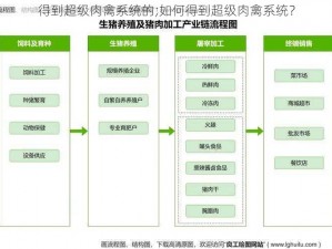 得到超级肉禽系统的;如何得到超级肉禽系统？