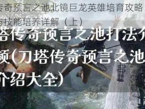 刀塔传奇预言之池北镜巨龙英雄培育攻略：成长之路与技能培养详解（上）