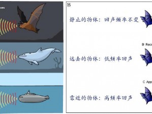 电刺猬的起源探索：我的诞生与成长之谜揭晓