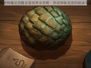 哈利波特魔法觉醒龙蛋培育全攻略：养成神秘龙宠的秘诀与技巧