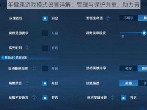 王者荣耀青少年健康游戏模式设置详解：管理与保护并重，助力青少年健康成长