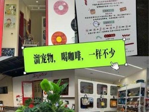 探索奇趣店铺，深入挖掘独特存档策略的奥秘