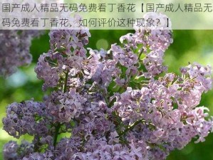 国产成人精品无码免费看丁香花【国产成人精品无码免费看丁香花，如何评价这种现象？】