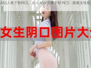 女人ASS人体下部PICS、女人 ASS 人体下部 PICS：探索女性私密之美