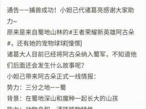 王者荣耀新英雄阿古朵价格揭秘：购买费用及其实事信息全解析