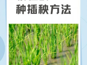 108种插秧方式,108 种插秧方式大揭秘，你见过几种？