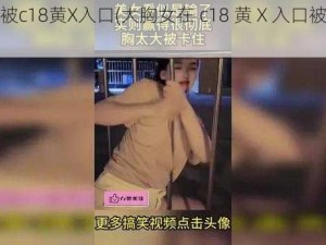 大胸女被c18黄X入口(大胸女在 c18 黄 X 入口被疯狂撞击)