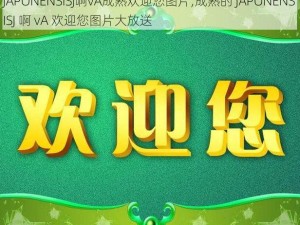 JAPONENSISJ啊vA成熟欢迎您图片;成熟的 JAPONENSISJ 啊 vA 欢迎您图片大放送