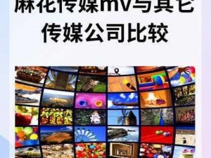 麻花传媒MV与其他传媒公司比较,麻花传媒 MV 与其他传媒公司的差异在哪里？