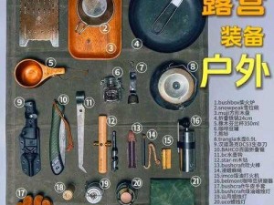 荒岛生存技术解析：王牌生存工具的详细安装与配置说明