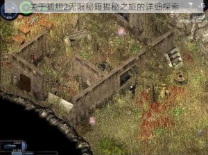 关于孤胆2无限秘籍揭秘之旅的详细探索